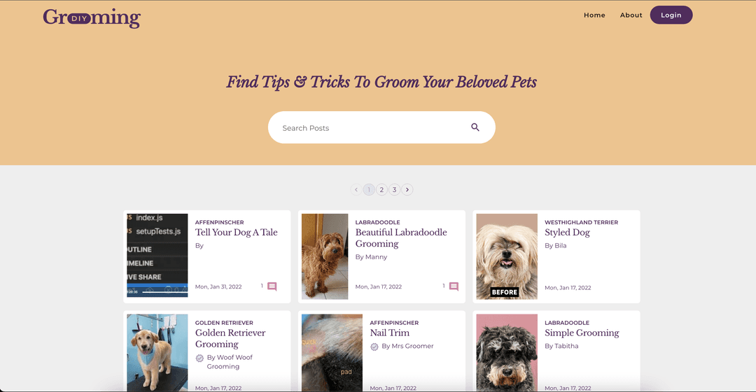 Homepage of DIY Grooming App